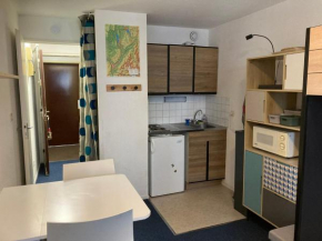 Studio cosy au 6e étage avec accès aux pistes - Le Pleynet - FR-1-557A-47